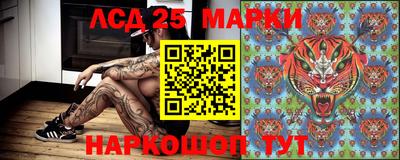 тгк Будённовск